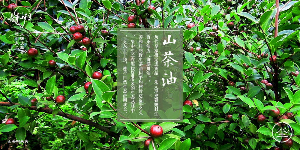 善和村山茶油