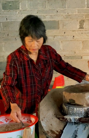 苦槠豆腐