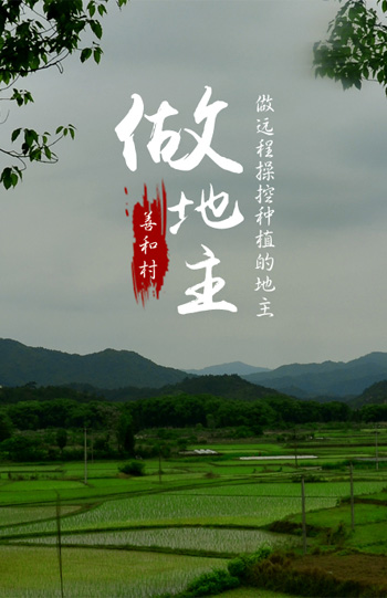 远程做地主