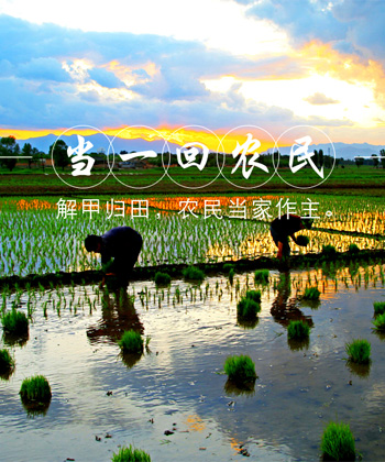 当一回农民